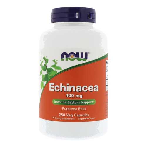 Добавка для иммунитета NOW Echinacea Root 250 капс. натуральный в Живика